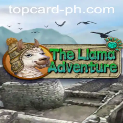The Llama Adventure: Unfolding the Secrets of the TOP CARD